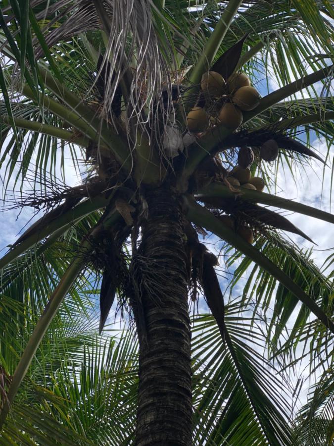 A Pousada Hương Tràm Ho Da Exterior foto