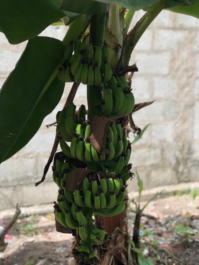 A Pousada Hương Tràm Ho Da Exterior foto