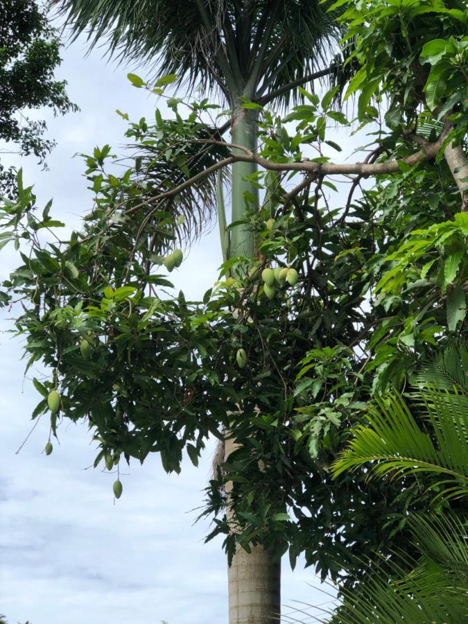 A Pousada Hương Tràm Ho Da Exterior foto