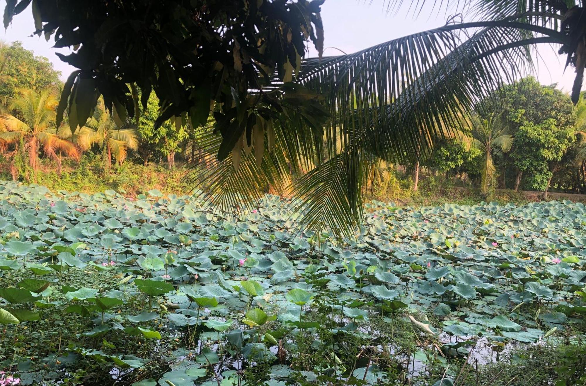 A Pousada Hương Tràm Ho Da Exterior foto