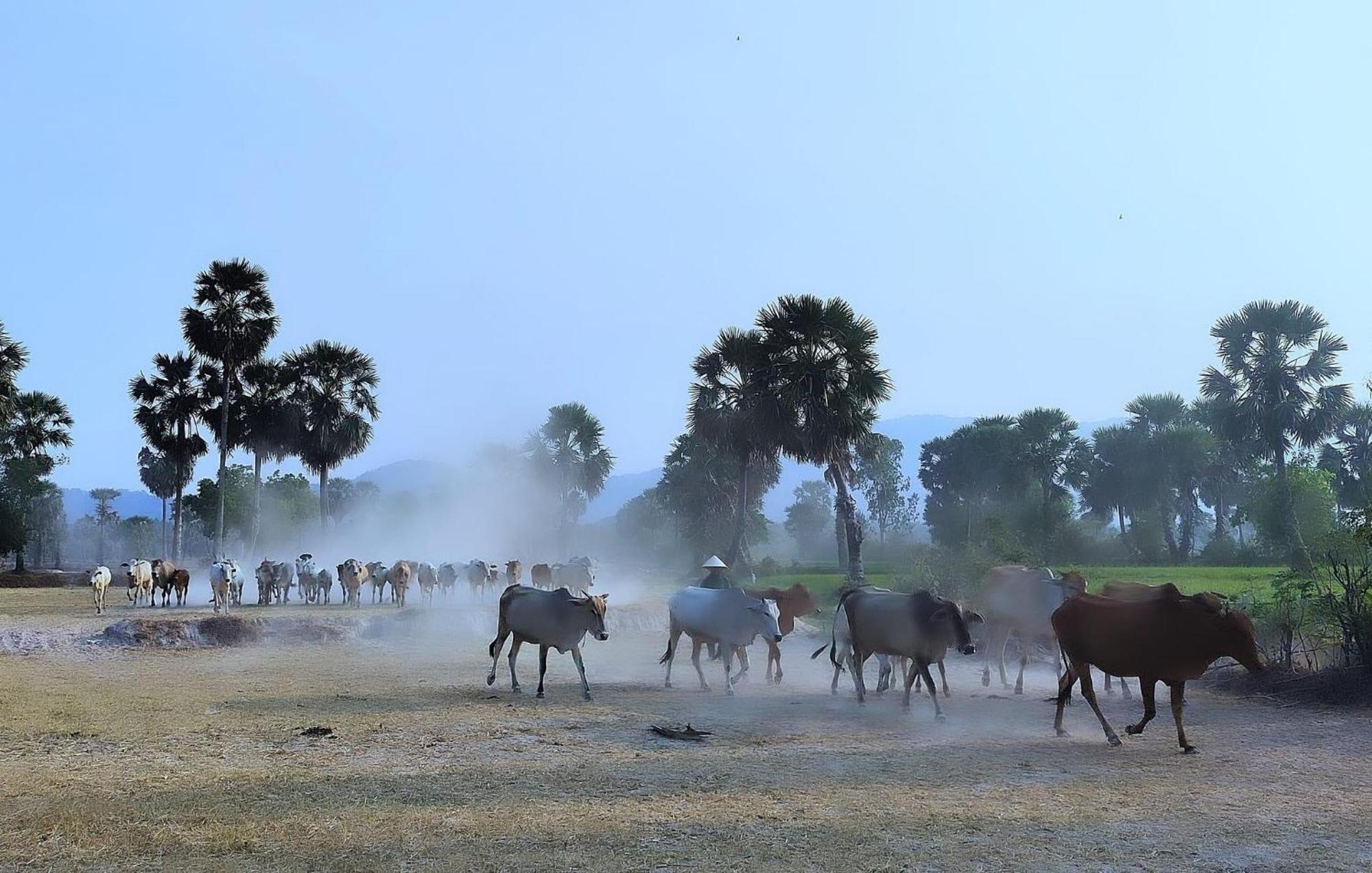 A Pousada Hương Tràm Ho Da Exterior foto