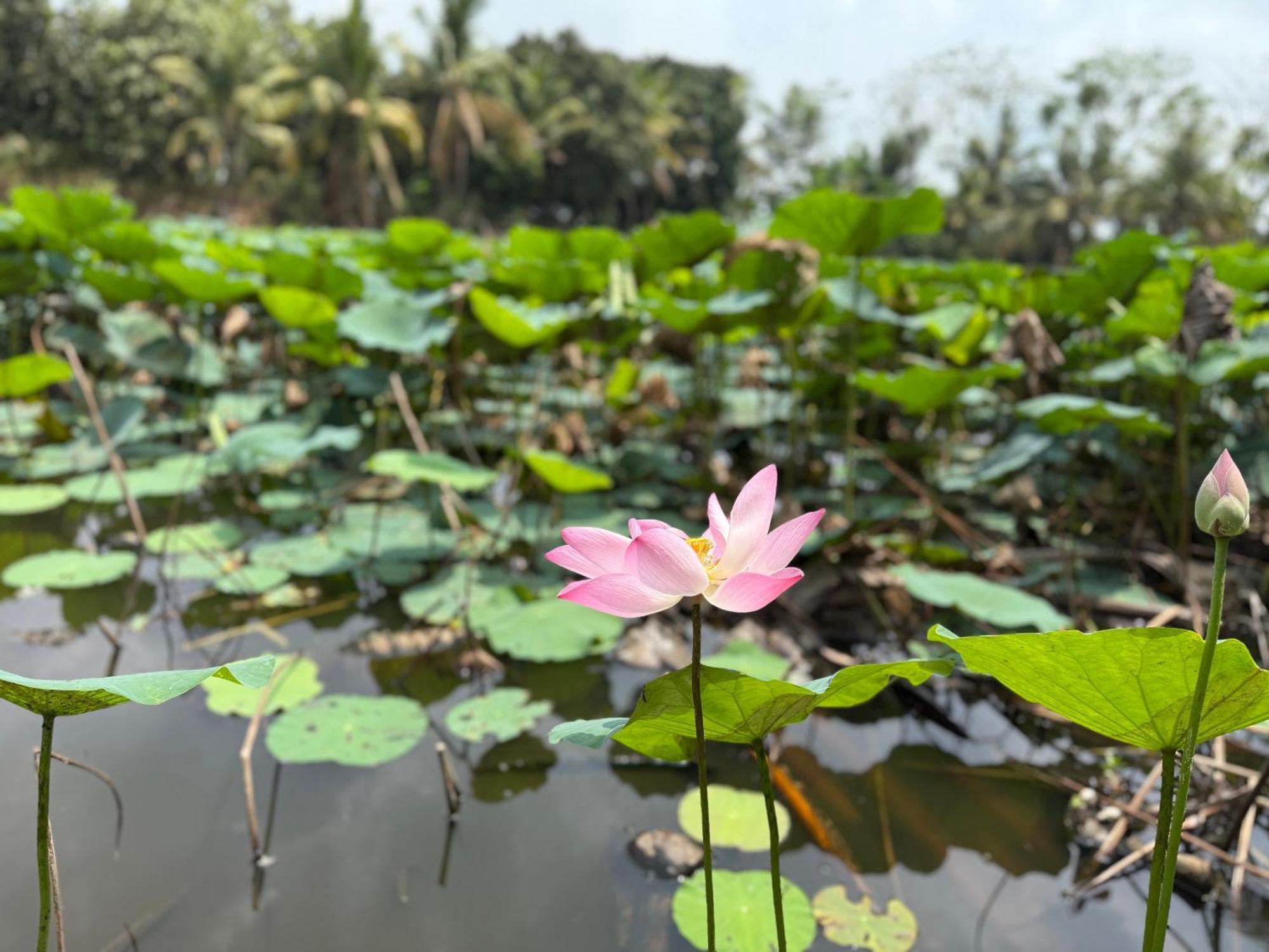 A Pousada Hương Tràm Ho Da Exterior foto