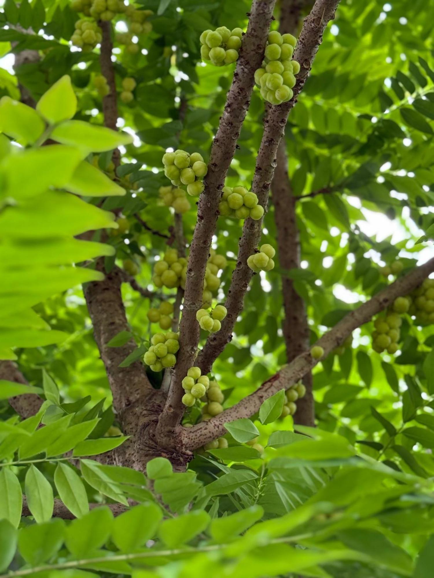 A Pousada Hương Tràm Ho Da Exterior foto